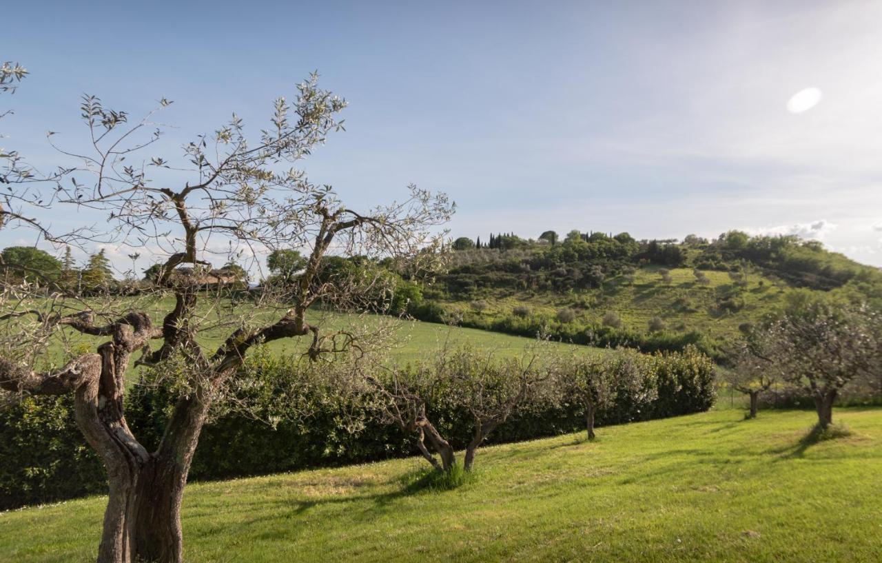 Residenza Il Falchetto Assisi Eksteriør bilde