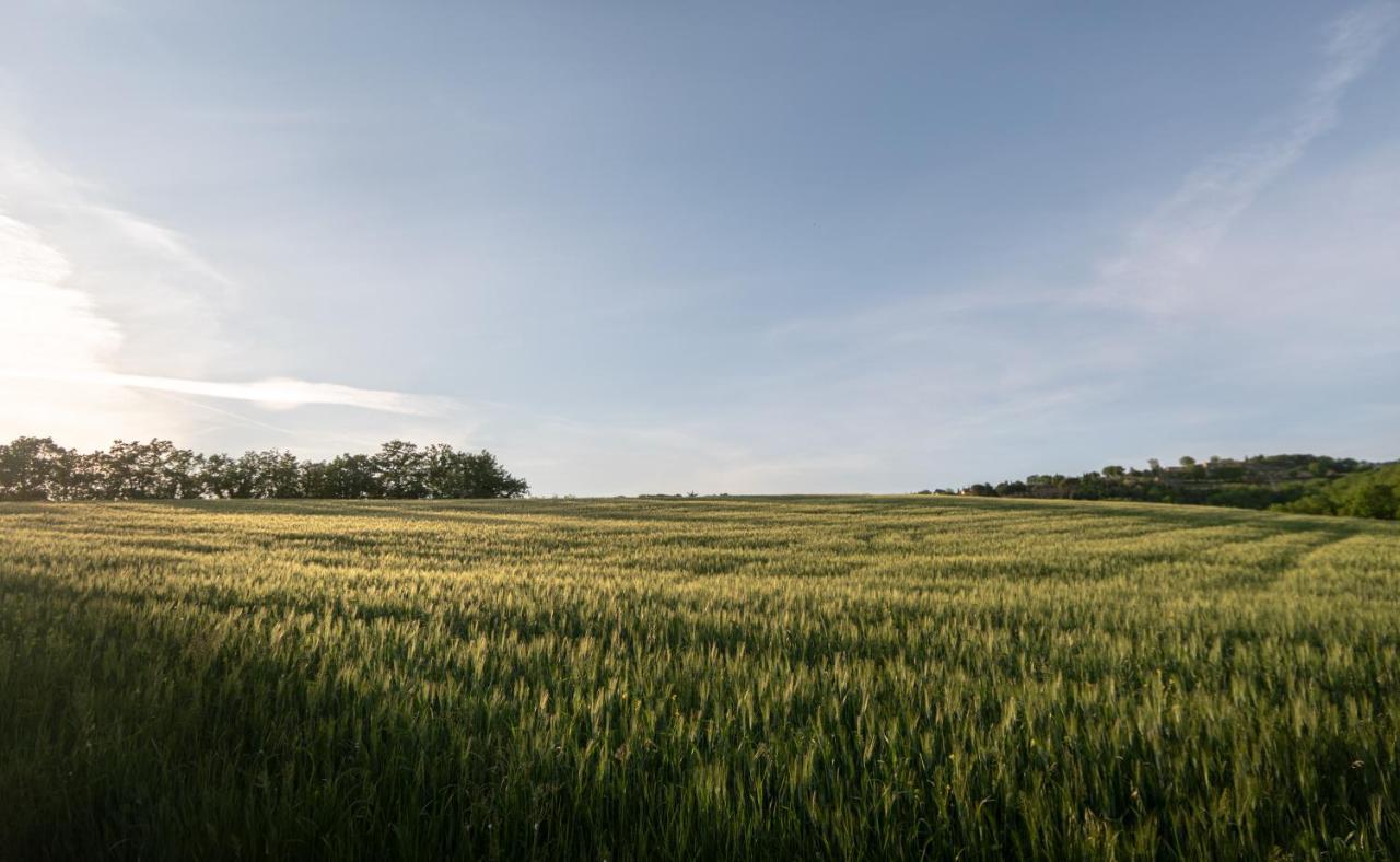 Residenza Il Falchetto Assisi Eksteriør bilde