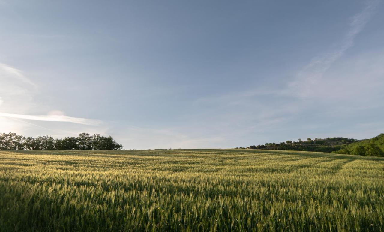 Residenza Il Falchetto Assisi Eksteriør bilde